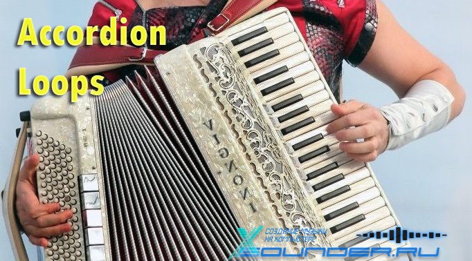 Accordion сэмплы