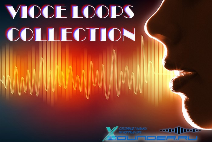 Vox Loops изображение