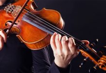 Скрипка: критерии выбора музыкального инструмента