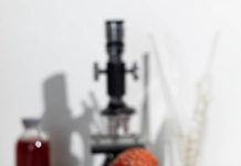 Микродозинг мухомора: средство, активизирующее работу головного мозга