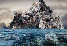 Остров Вавада – ужасающий портрет человечества