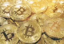 В чем заключается популярность биткоинов и какова его цена в рублях?