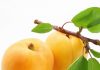 Чем полезны абрикосы и где купить абрикосы в Спб
