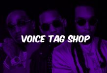 Зачем нужны войс – тэги и где их купить?