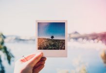 Как делать красивые фотографии?