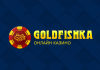 Актуальные бонусы от казино GoldFishka