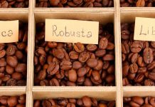 Какой сорт кофе в зернах стоит выбрать?