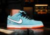Обзор кроссовок Nike SB Dunk