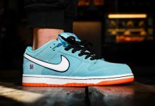 Обзор кроссовок Nike SB Dunk