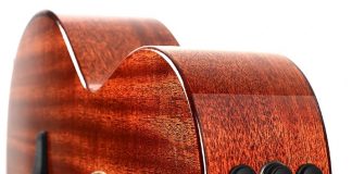 Разновидности трансакустических гитар