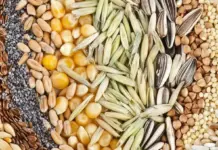 Как удобно и выгодно купить семена почтой: полное руководство для садоводов