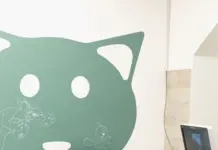 VETSPA в Ивантеевке: забота о ваших питомцах на высшем уровне