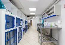 Ветклиника: Что важно знать перед походом к ветеринару